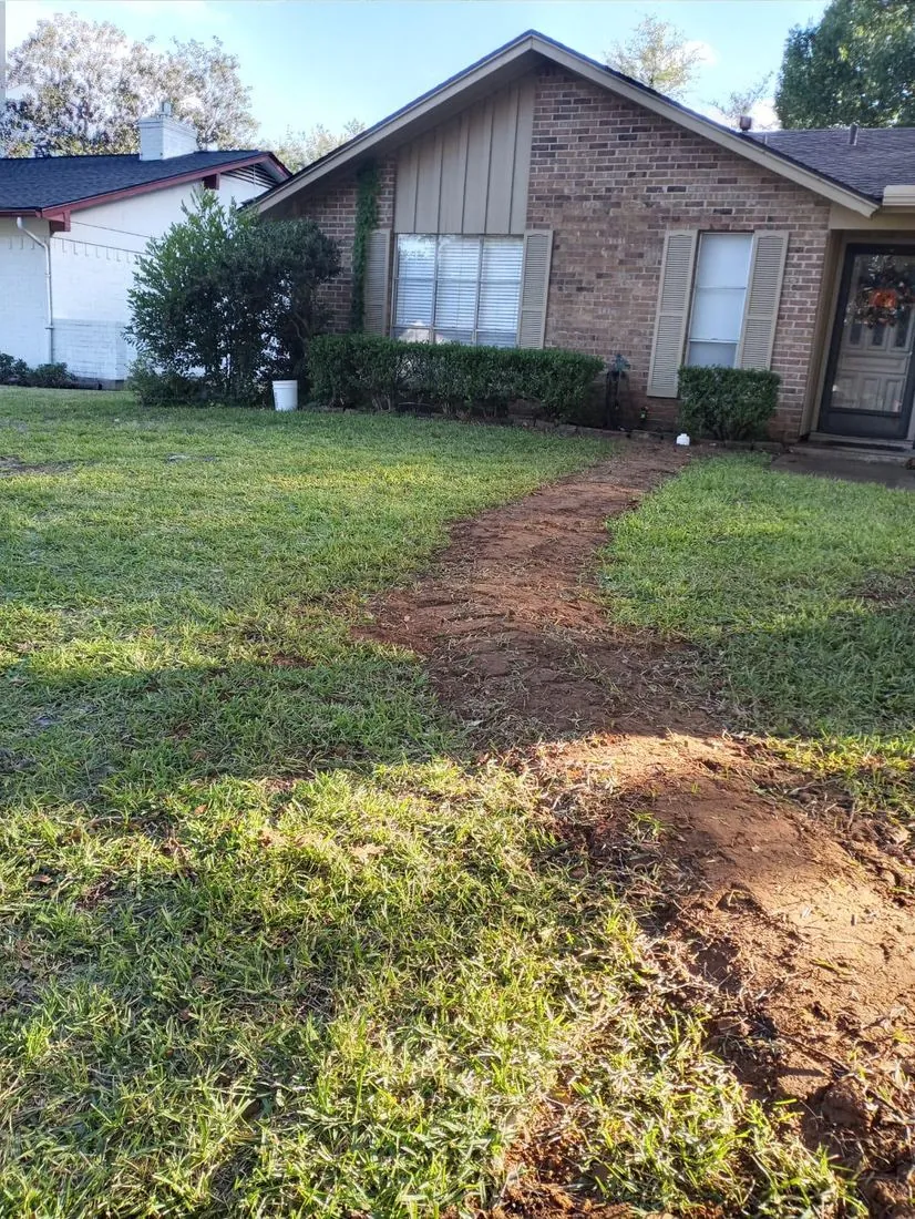 Yard Restoration